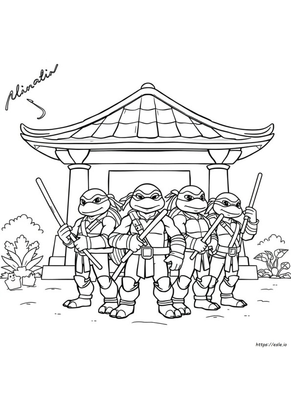Dibujos Para Colorear Tortugas Ninja