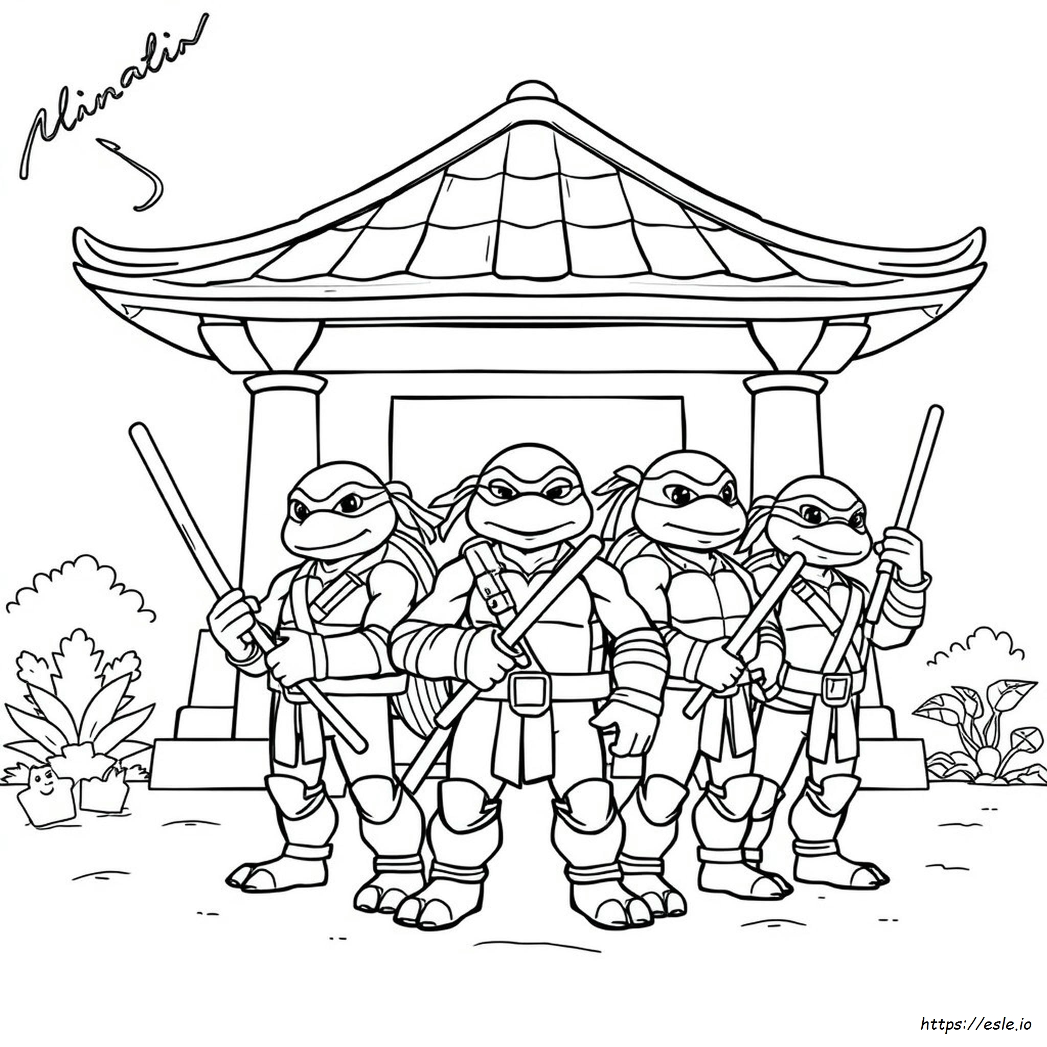 Dibujos Para Colorear Tortugas Ninja