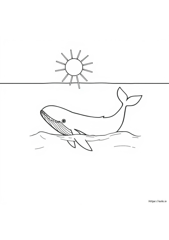 Wal Ausmalbilder Zum Ausdrucken