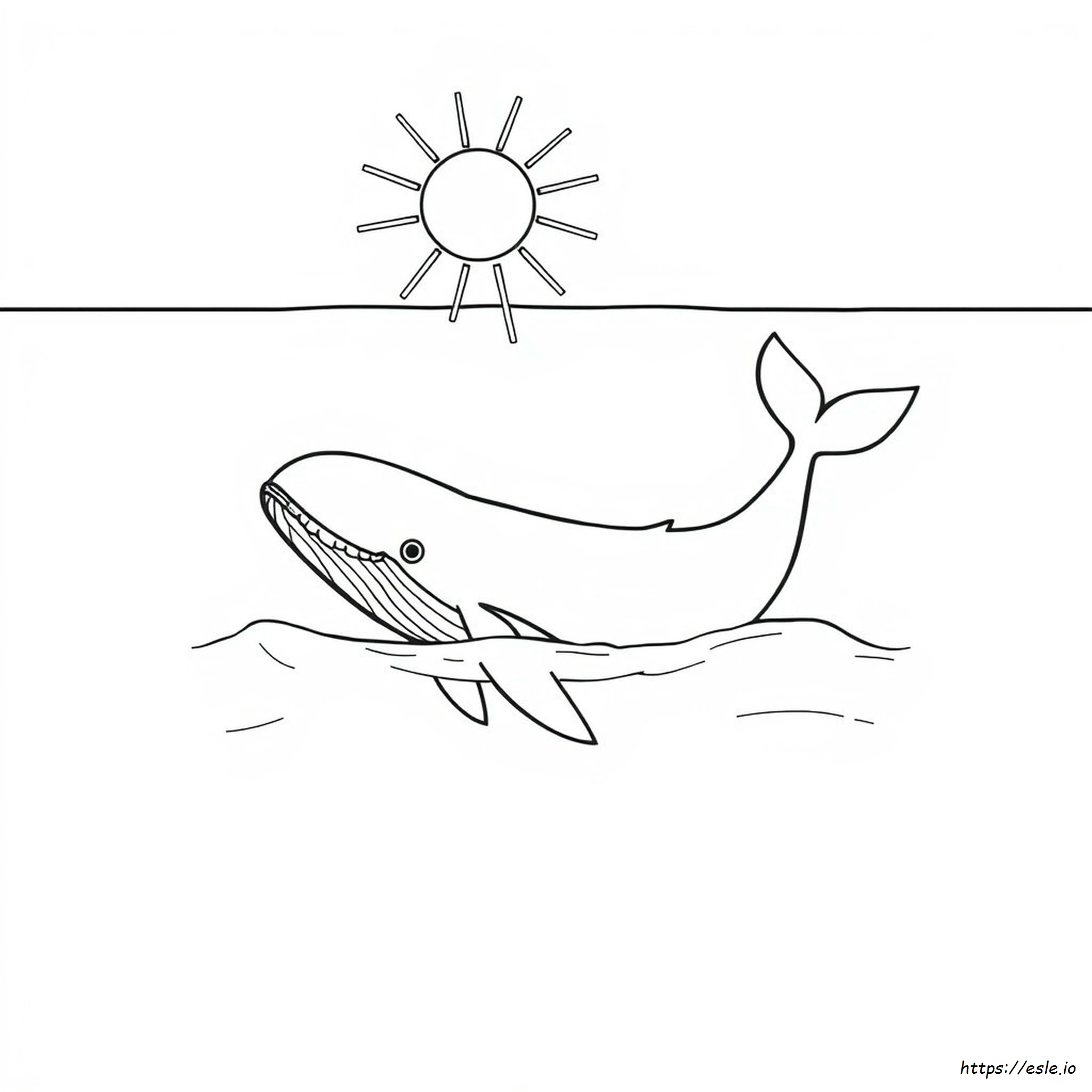 Whale Coloring Pages Printable