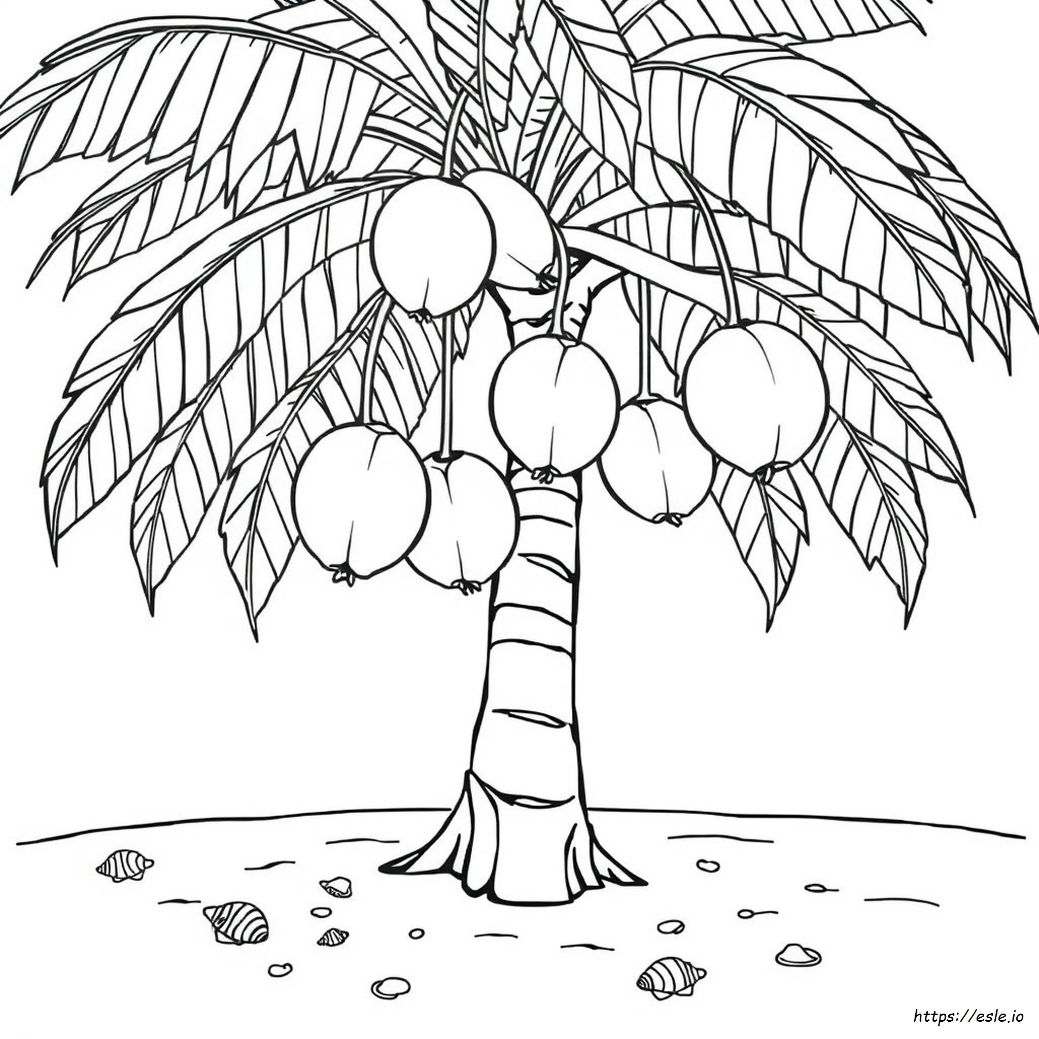 Alberi Di Cocco Da Colorare