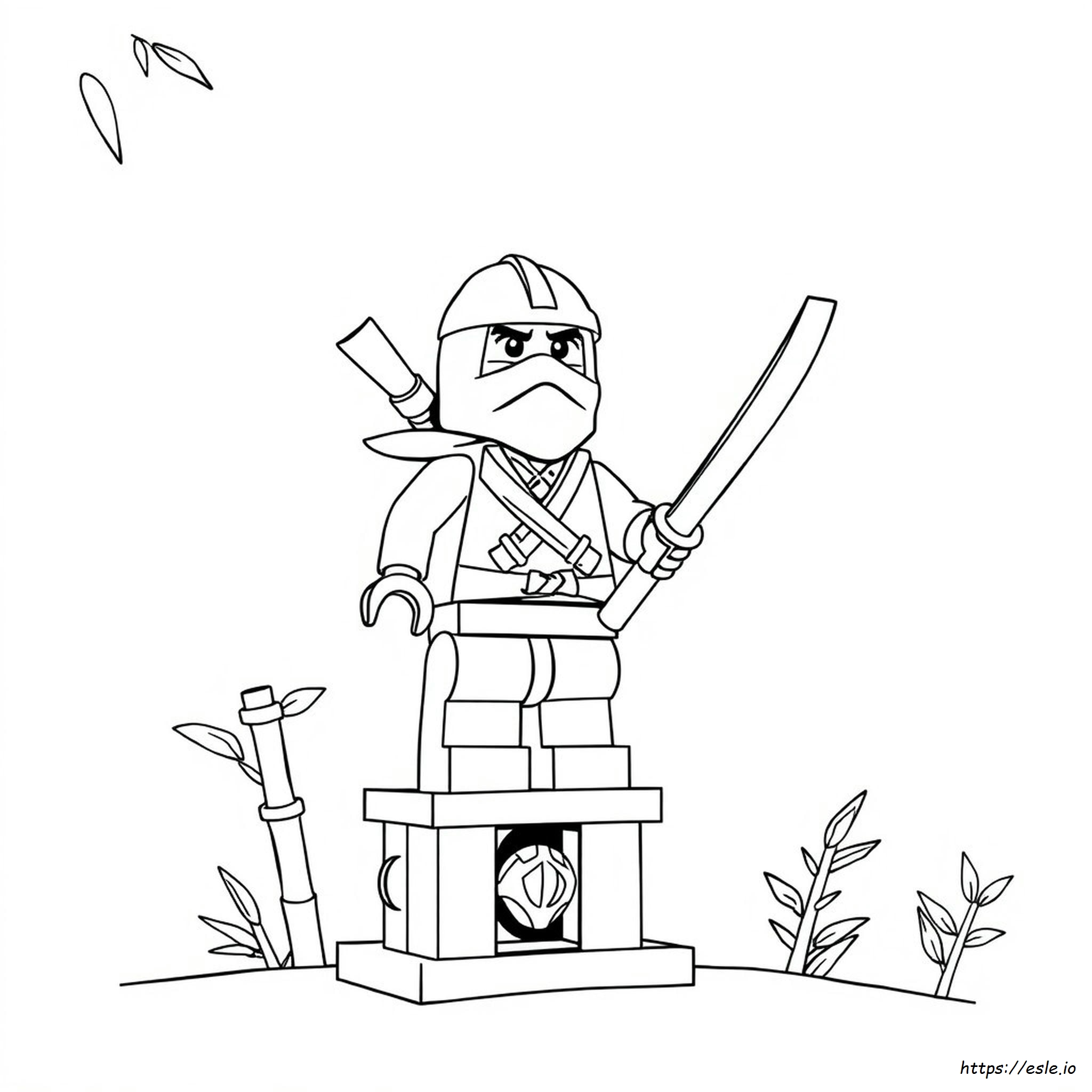 Lego Ninjago Colouring In