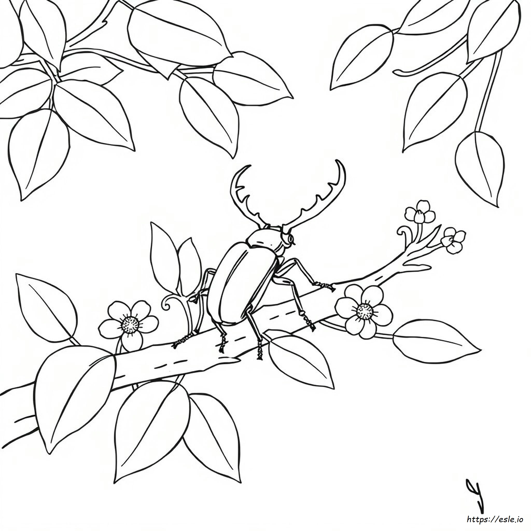 Stag Beetle Coloring Page