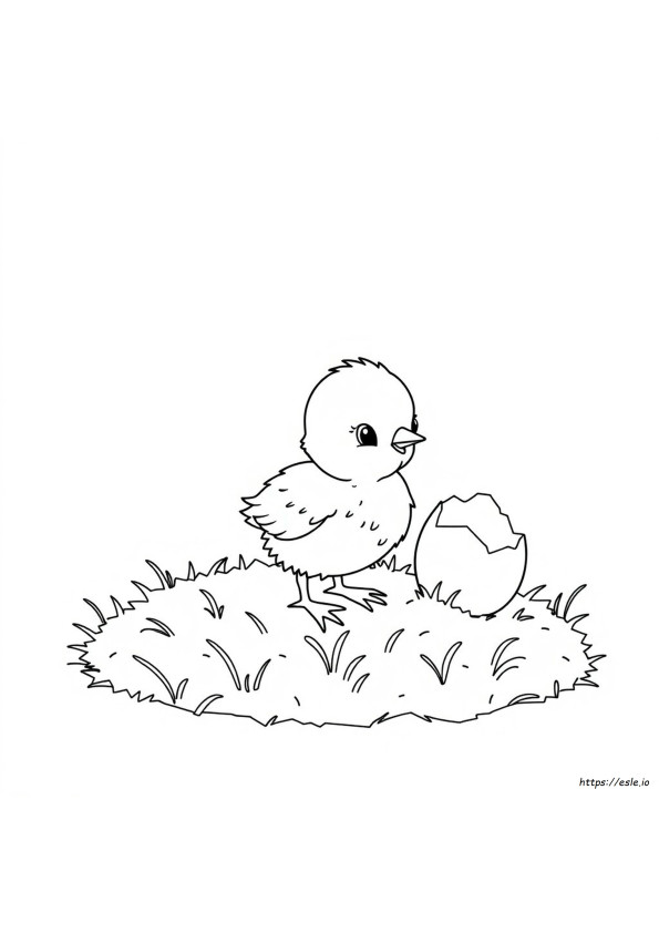 ひよこ ぬりえ 無料