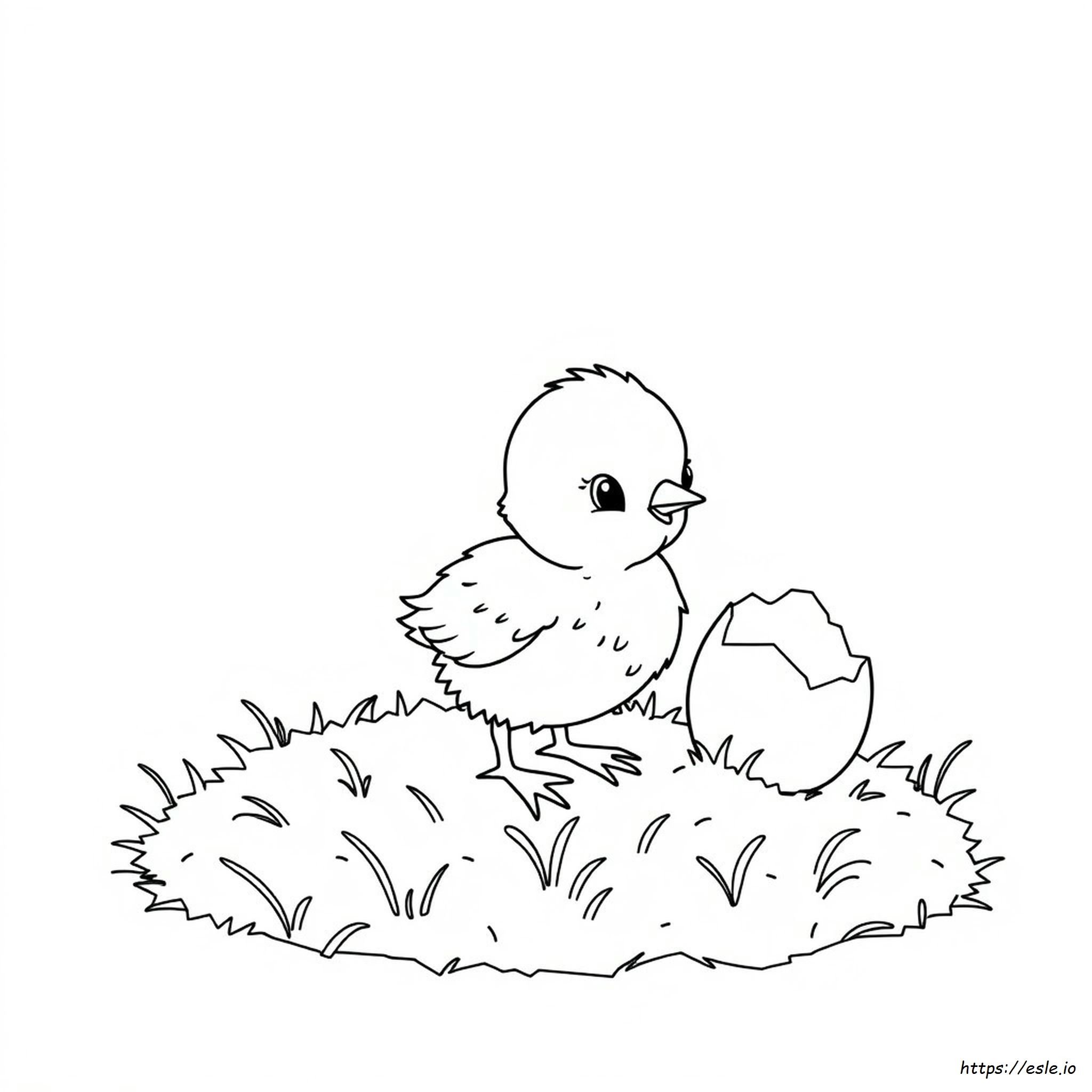 Baby Chick Coloring Page