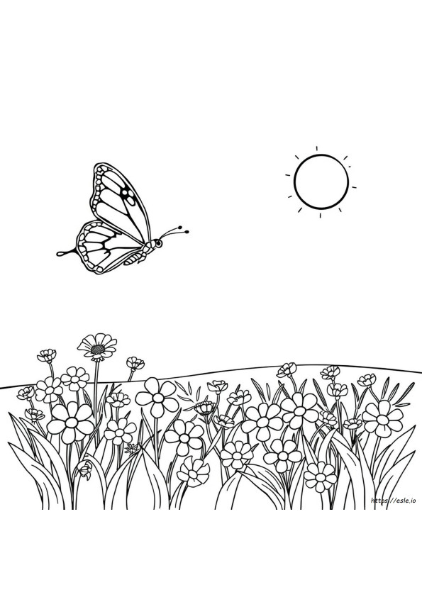 Coloriage Color Alive