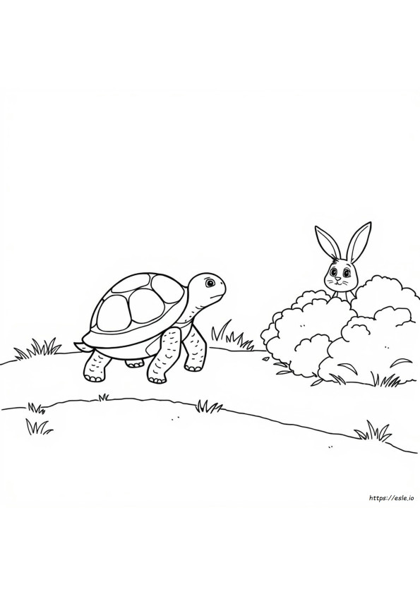 Schildpad En Haas Kleurplaat Om Te Printen