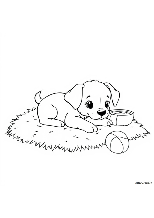 Gambar Mewarnai Anak Anjing Terlucu