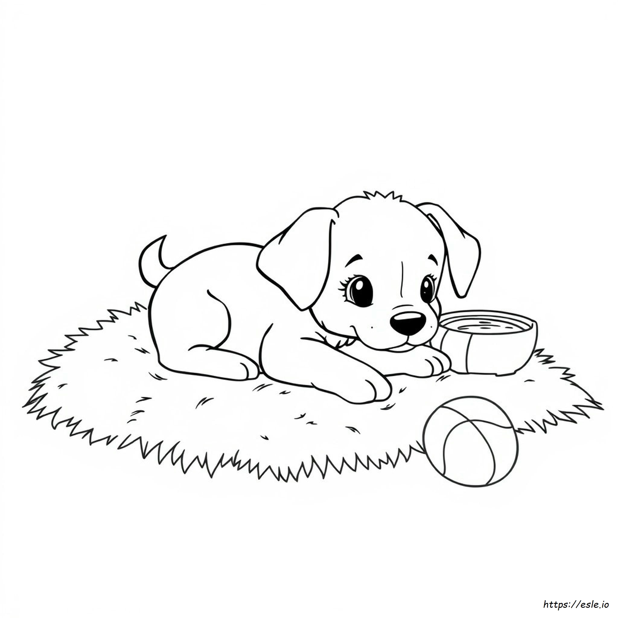 Las Páginas Para Colorear De Cachorros Más Lindas