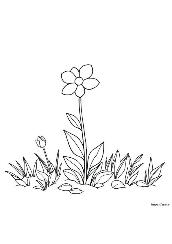 Gambar Mewarnai Desain Bunga