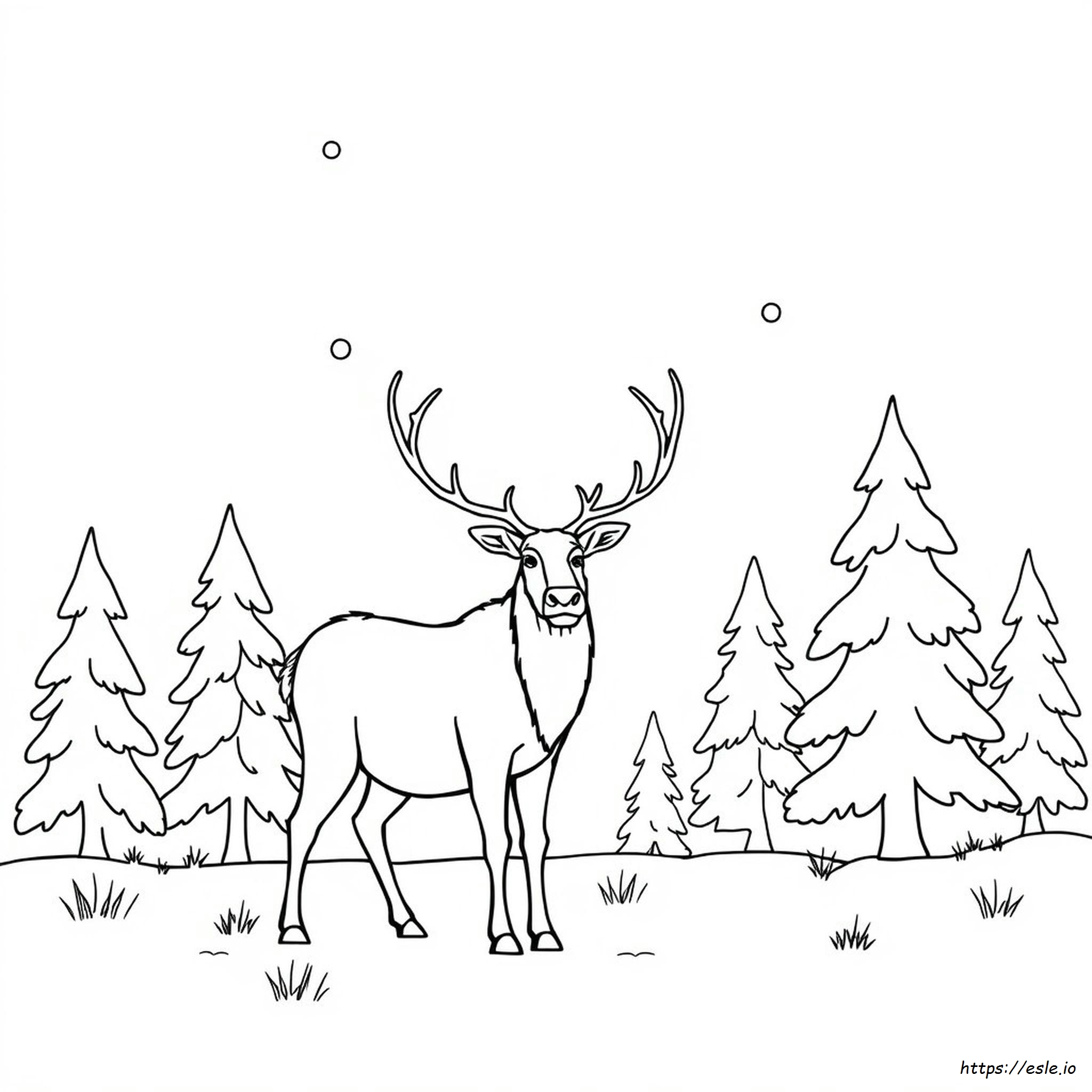 Caribou Colouring Pages