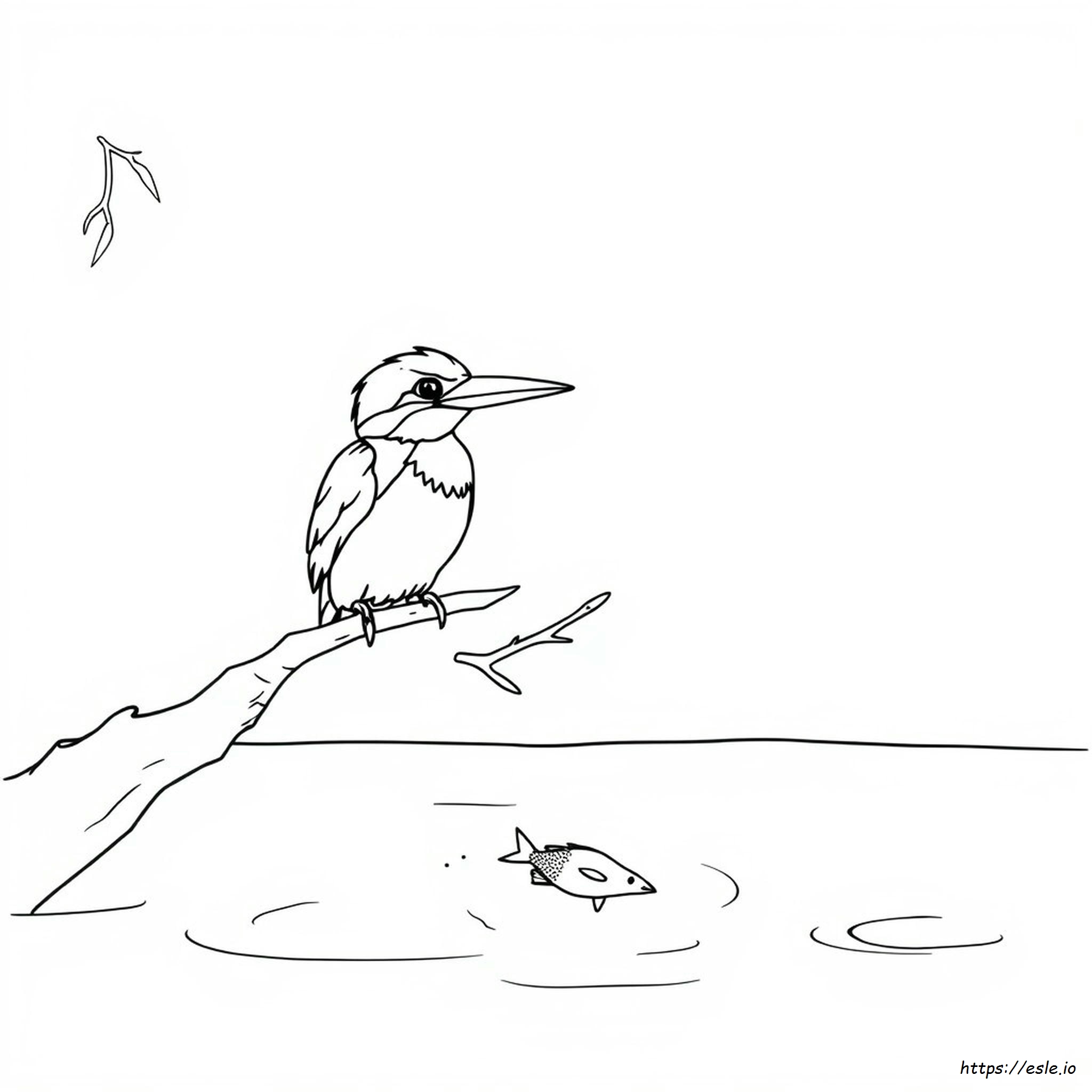 Martin Pescatore: Disegno Da Colorare