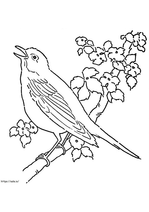 Coloriage Le canari chante sur une branche d'arbre à imprimer dessin