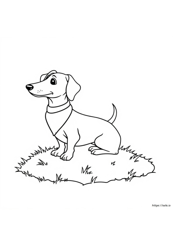 Páginas De Libro Para Colorear De Perros Salchicha