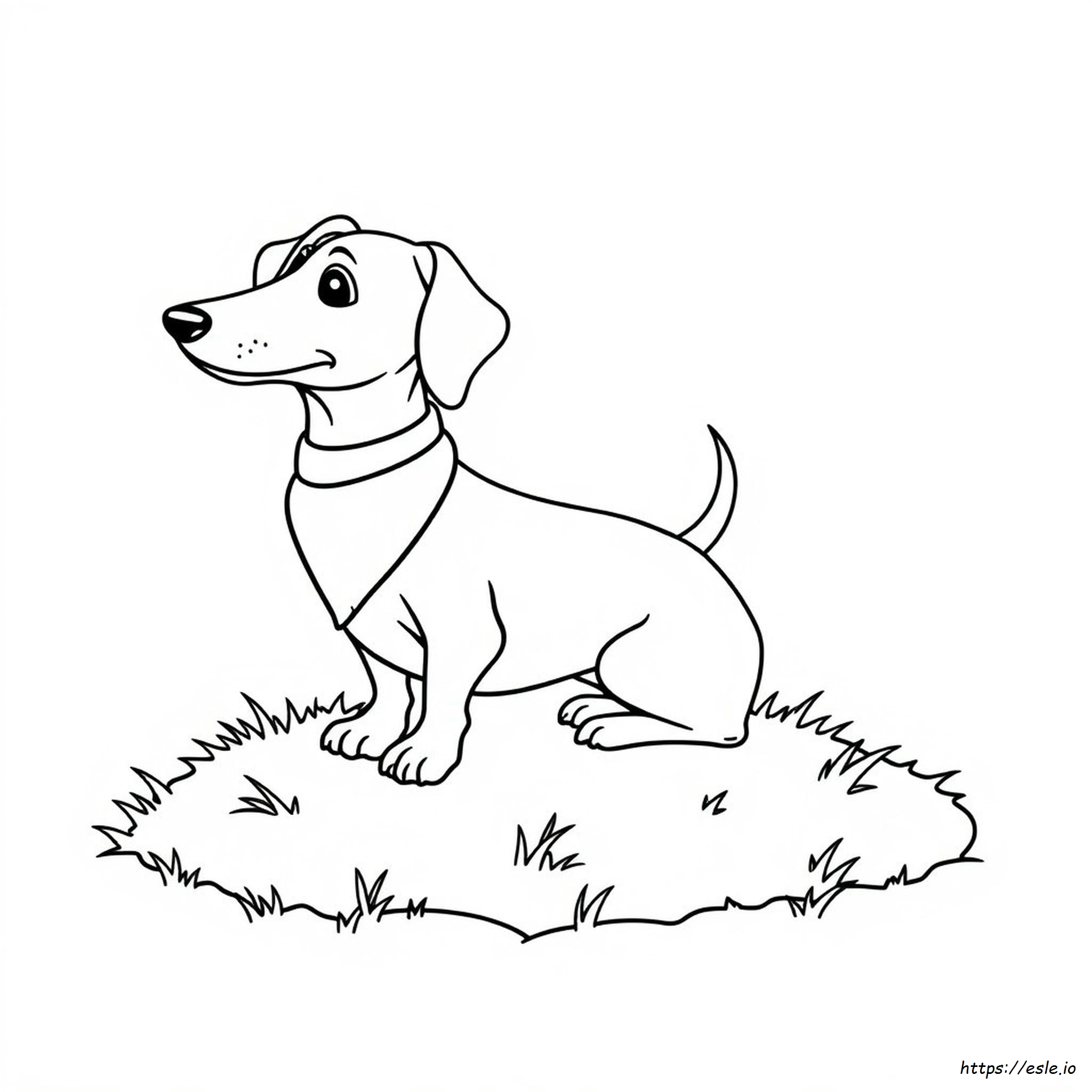 Bassotto Disegni Da Colorare