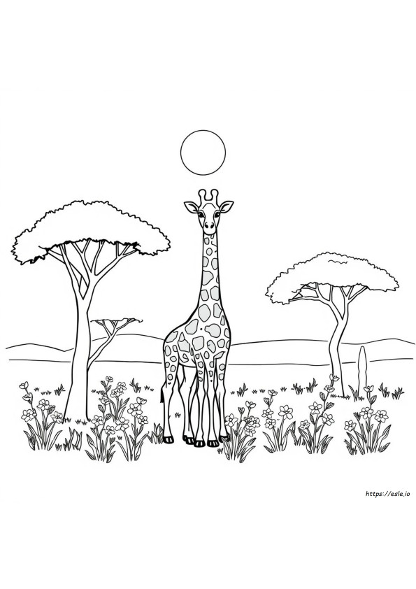 Giraffe Kleurplaten Printbaar