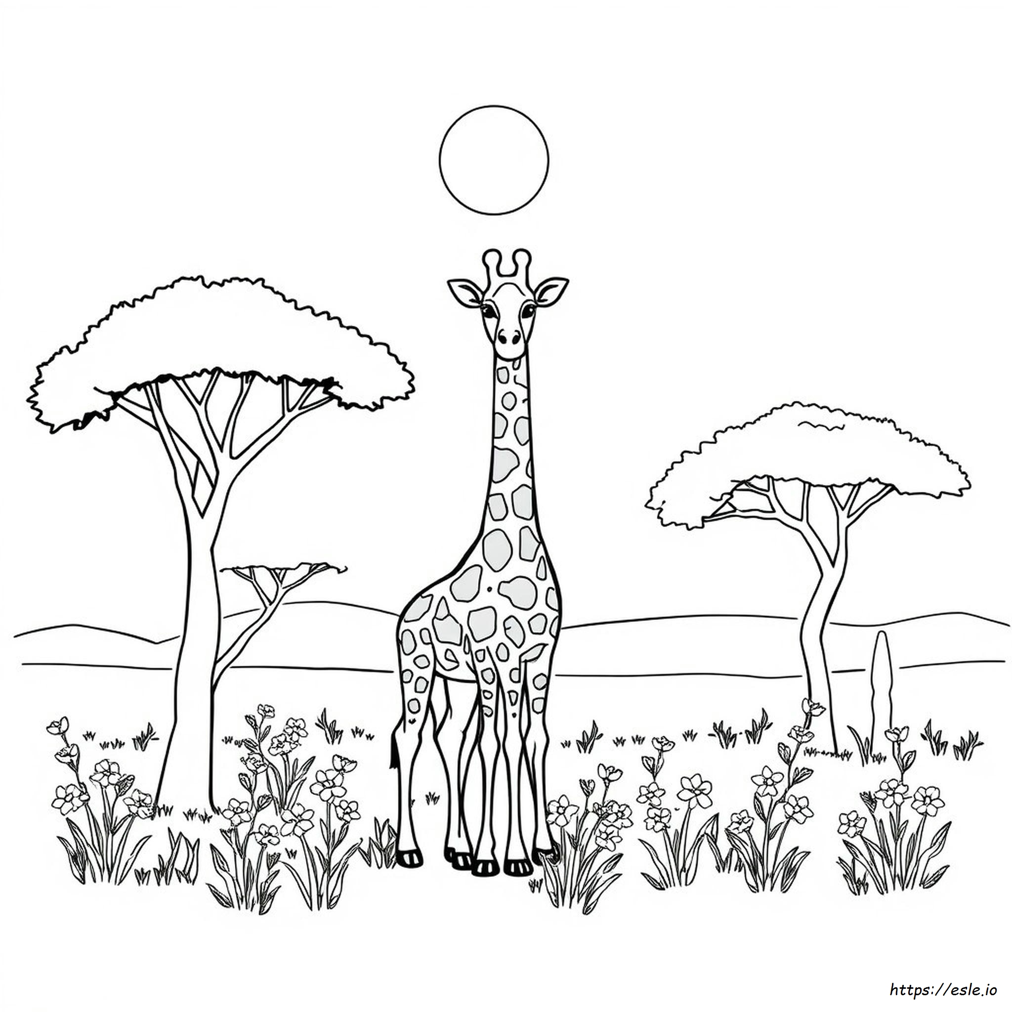 Giraffe Colouring Pages Printable