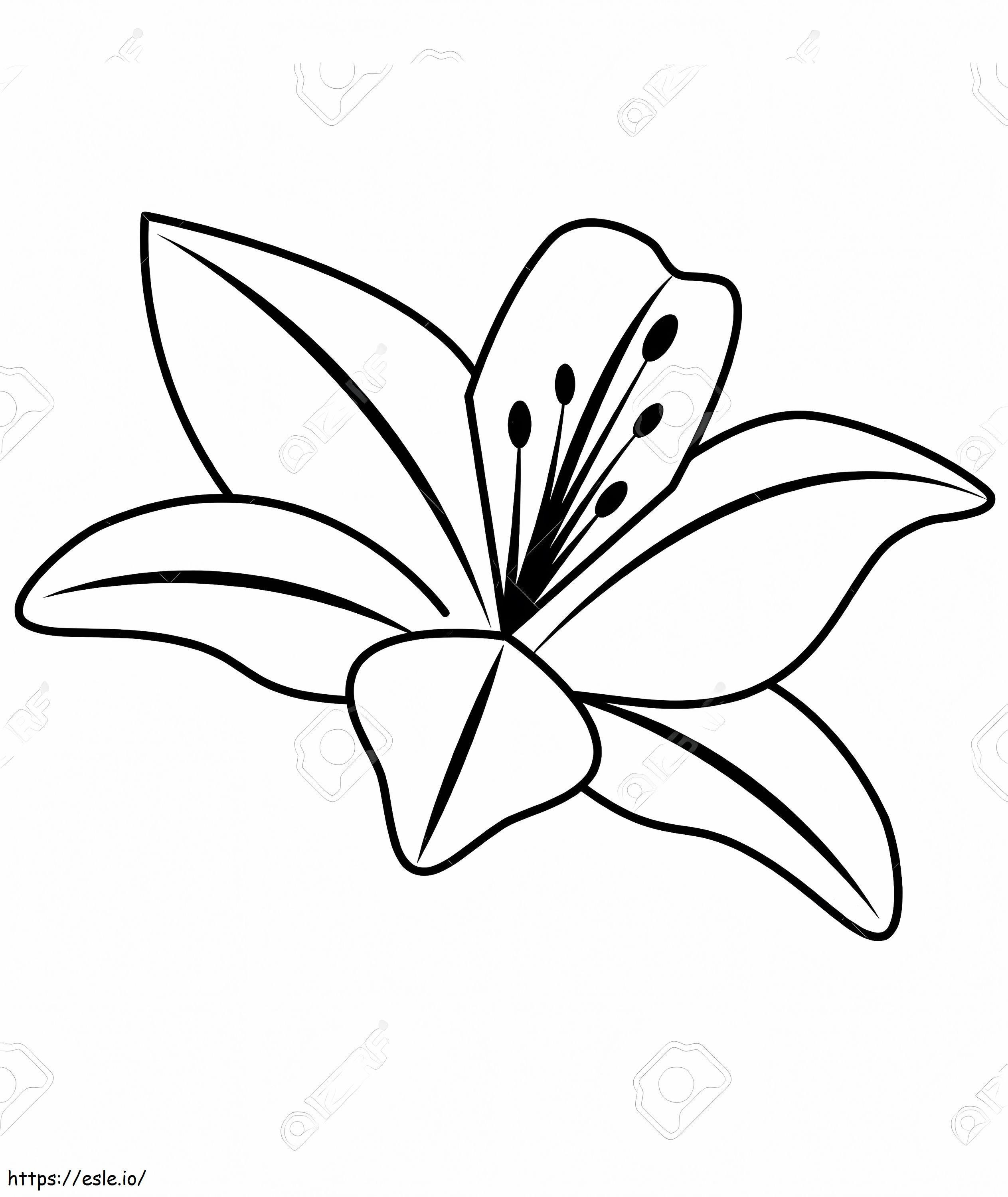 Floarea de crin 2 de colorat