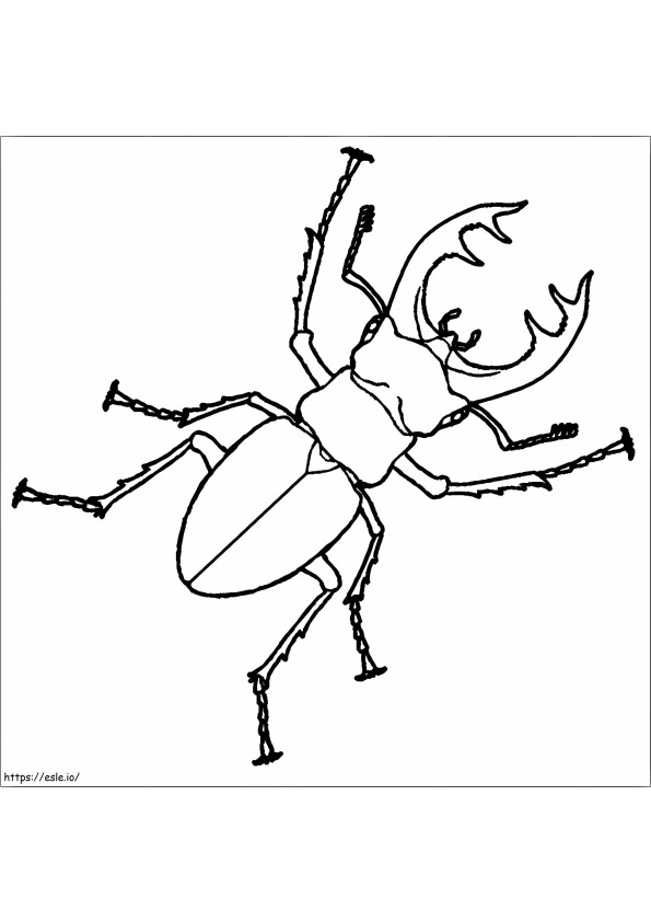 Escarabajo ciervo imprimible para colorear