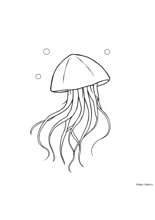 Coloriage Méduse