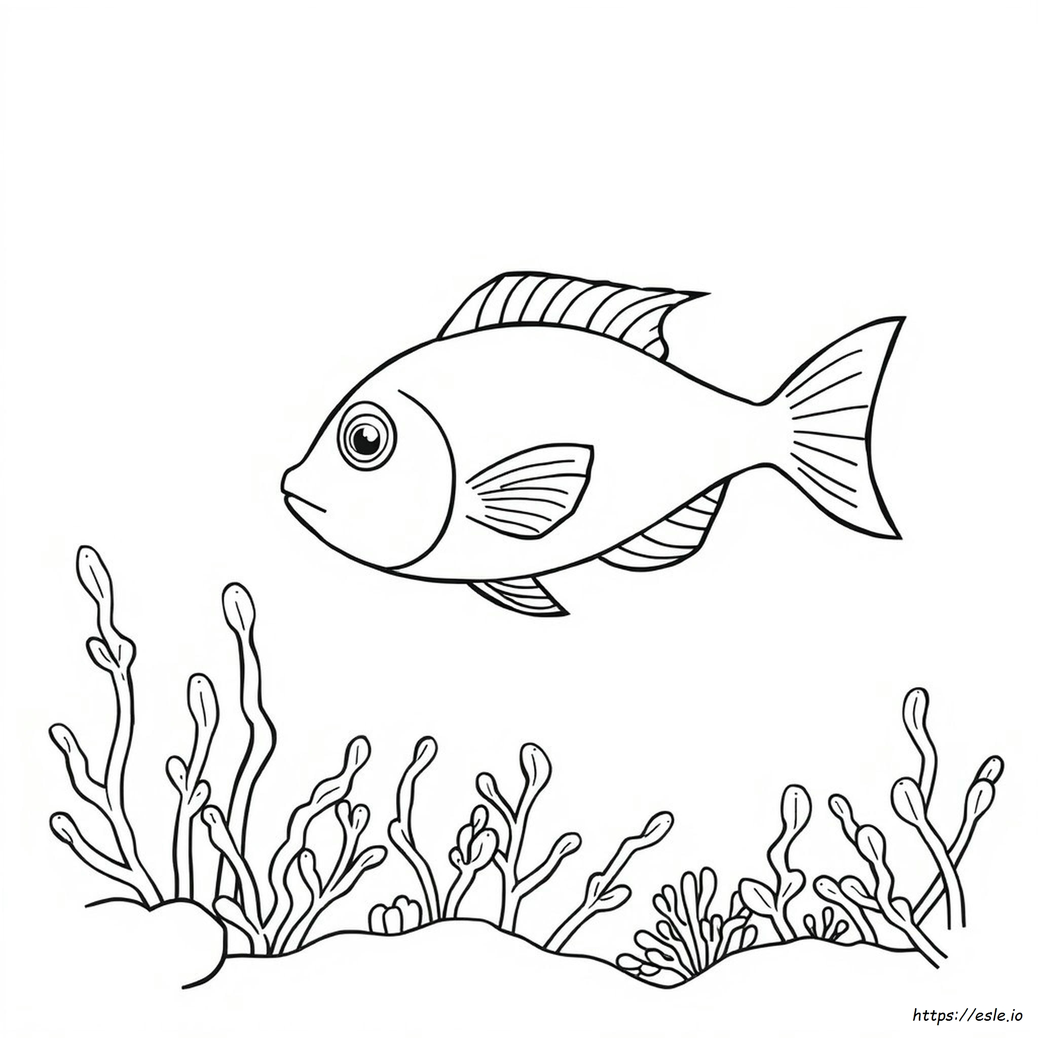 Fisch Ausmalbilder Für Vorschule