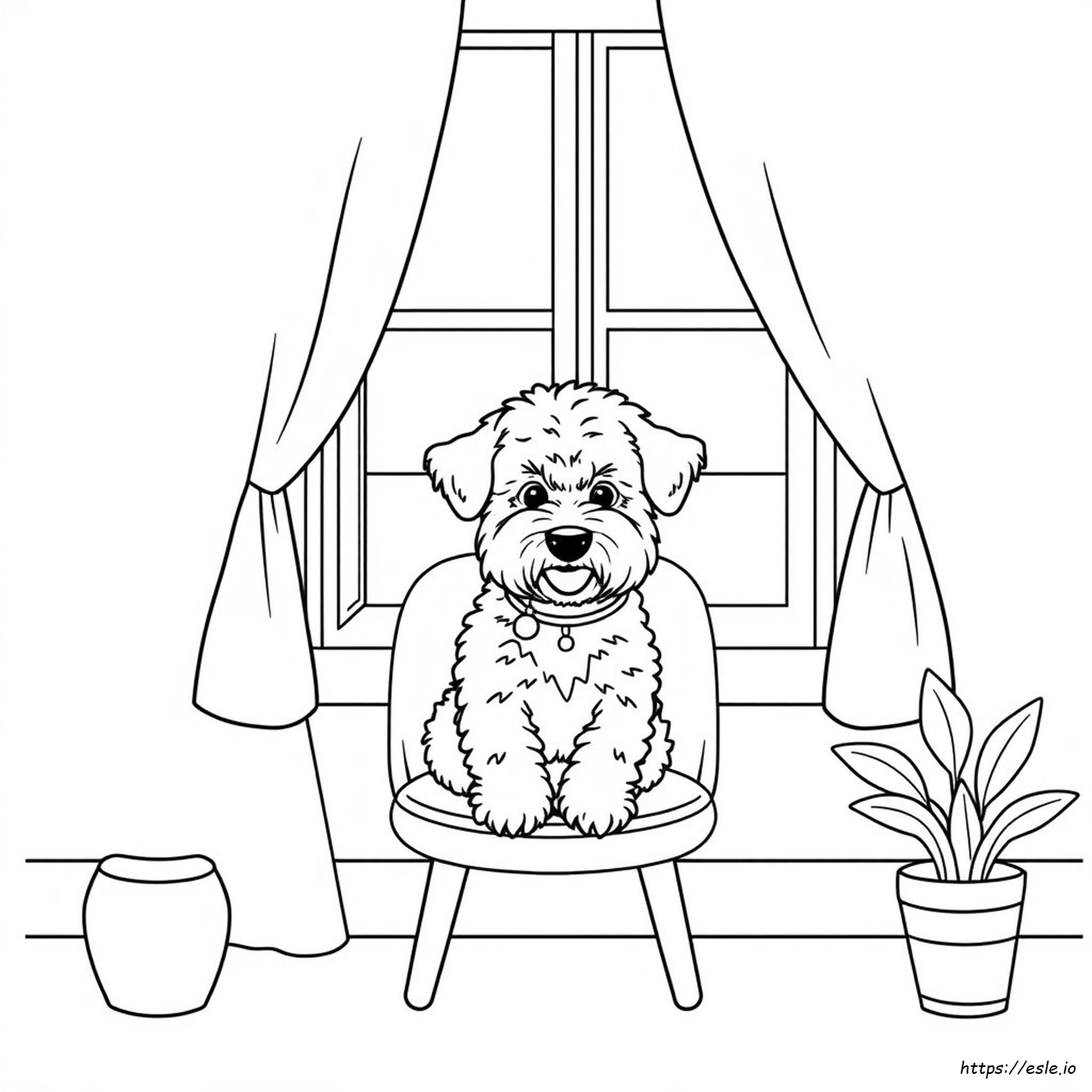 Bichon Frise Da Colorare