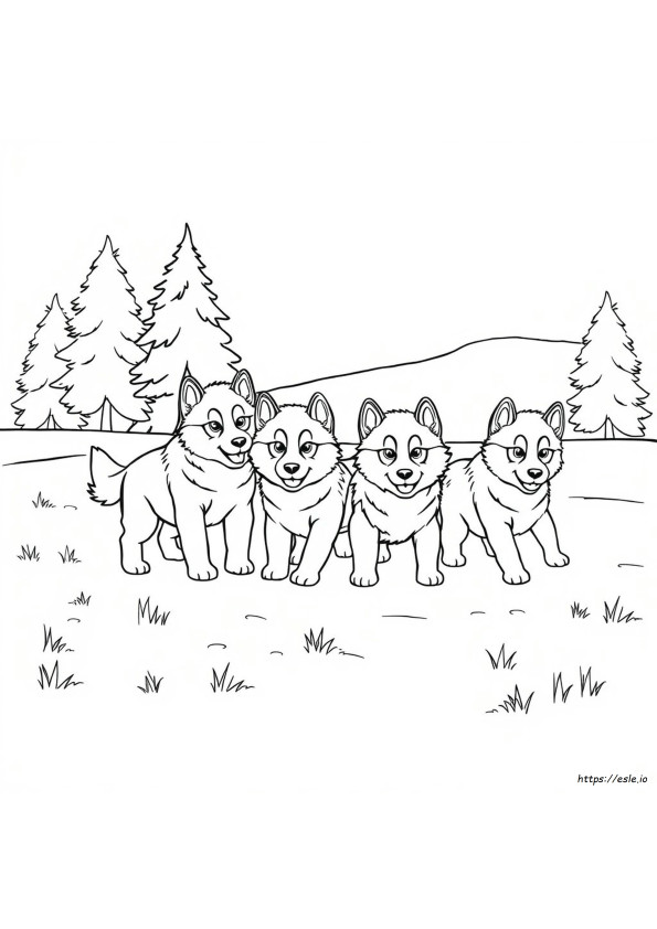 Gambar Mewarnai Anak Anjing Husky