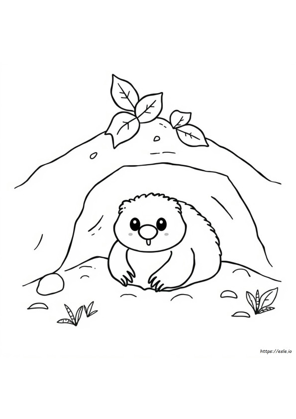Mole Coloring
