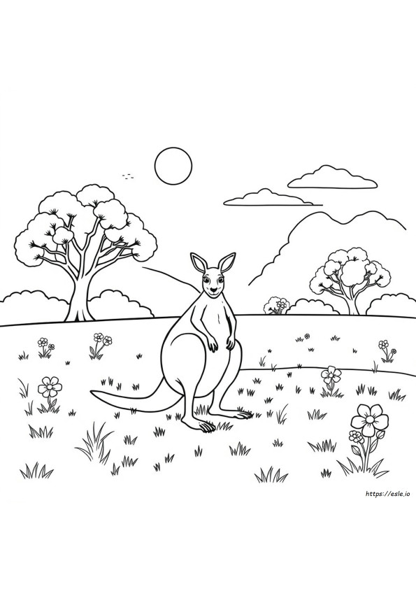 Australische Tiere Ausmalbilder Kostenlos