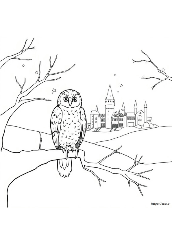 Hedwig Mewarnai