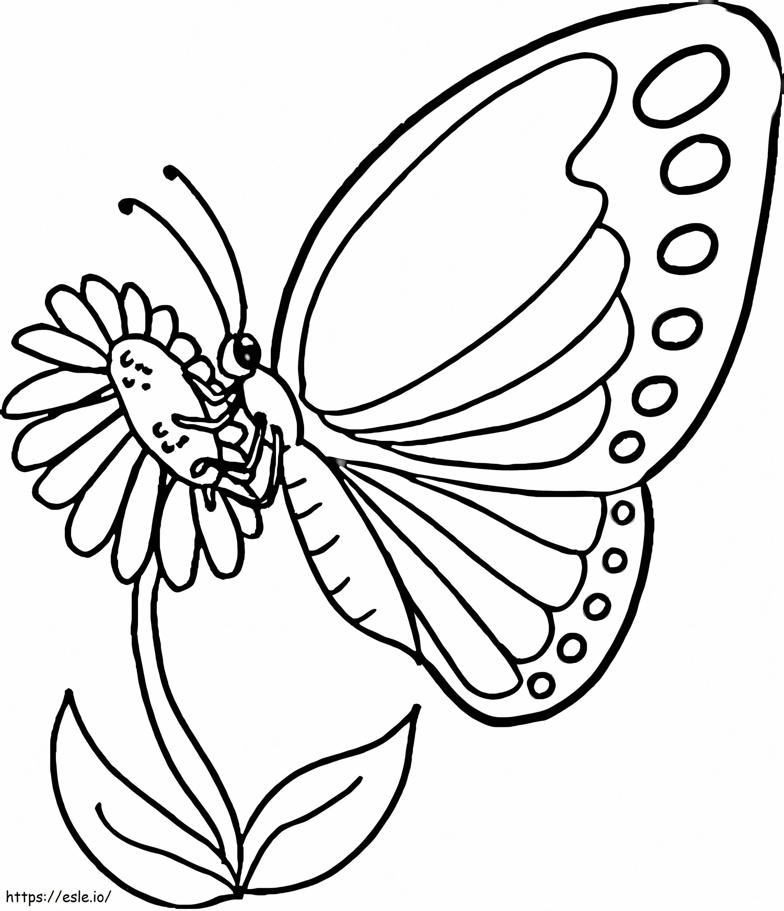 Kupu-kupu Di Atas Bunga Gambar Mewarnai