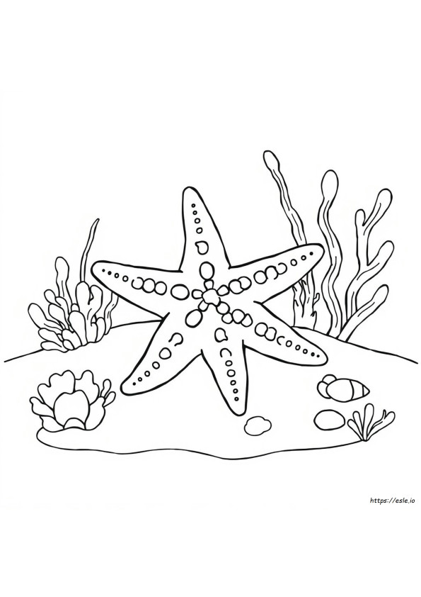 Coloriage Étoile De Mer