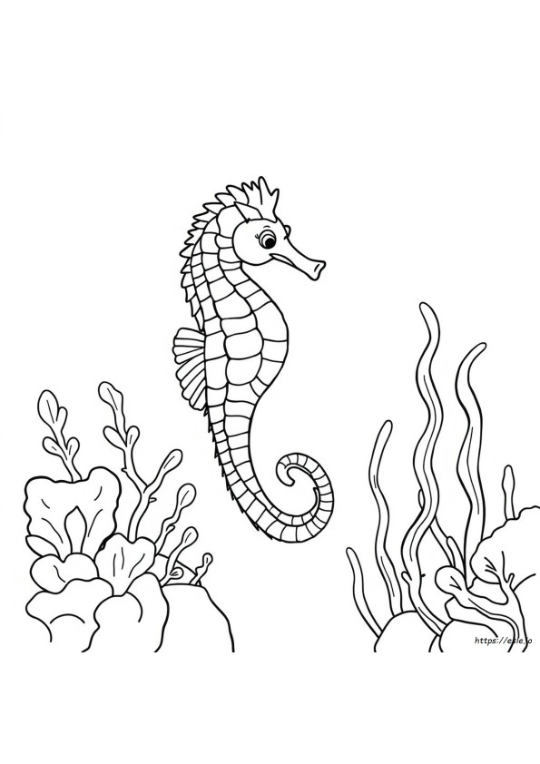 Seahorse Colouring