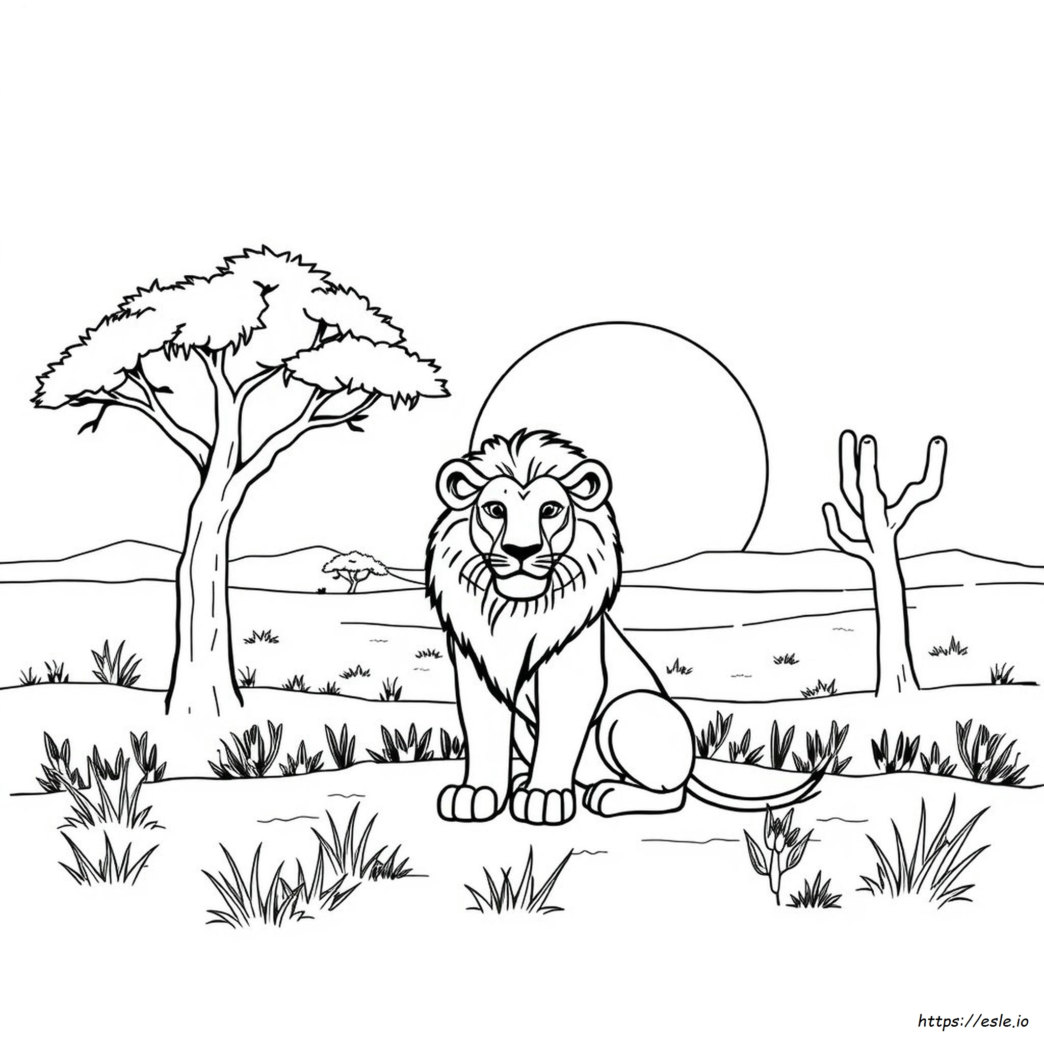 Libros Para Colorear De Animales Para Adultos