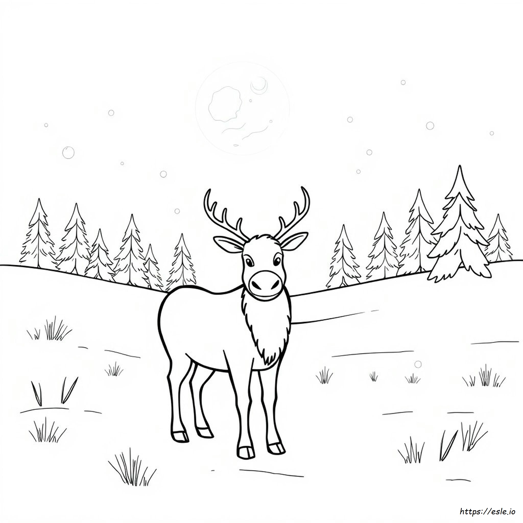 Gambar Mewarnai Rusa Kutub