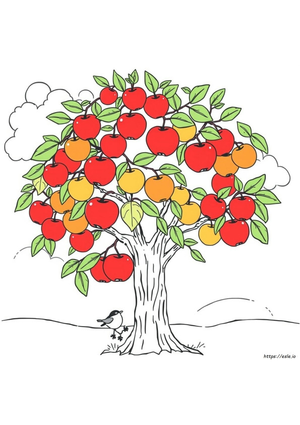 Apple Drawing For Colouring