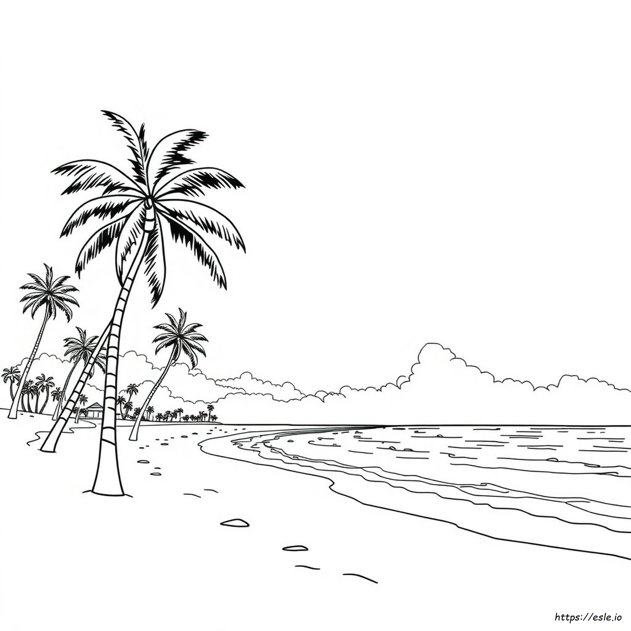 Coloring Page Of Florida