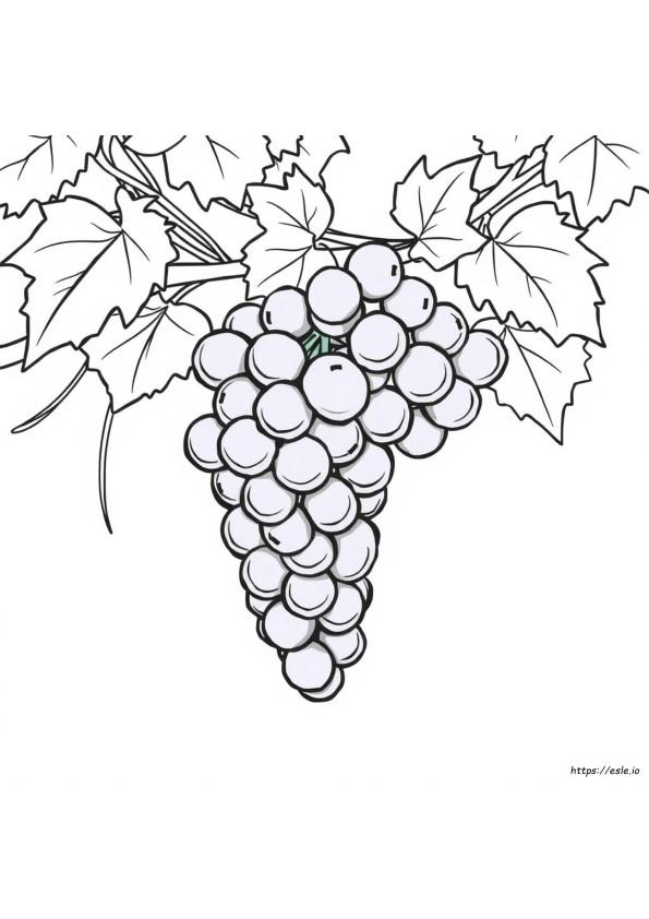 Purple Grapes Coloring Page