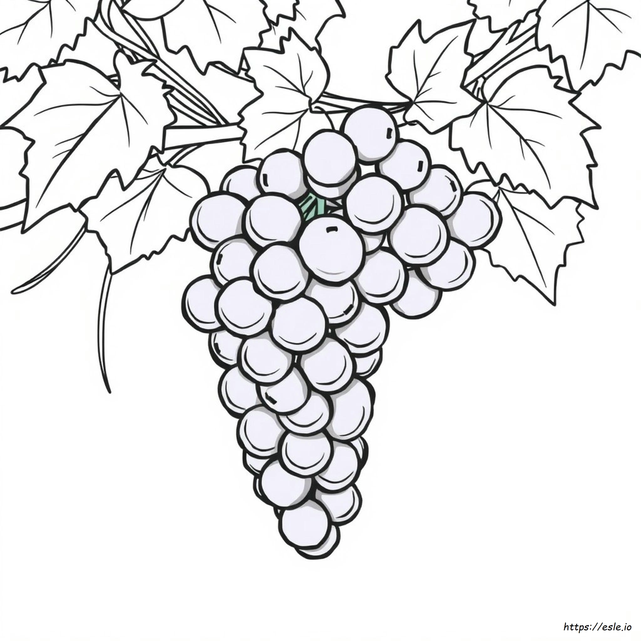 Purple Grapes Coloring Page