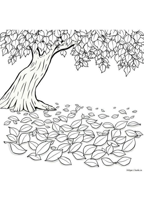 Coloring Sheets Of Leaves