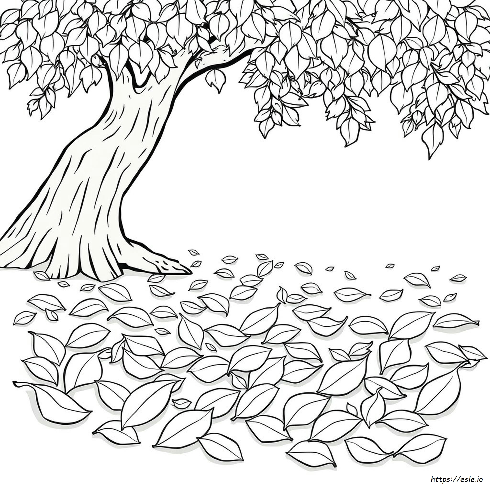 Coloring Sheets Of Leaves