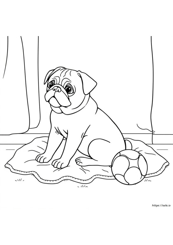 Gambar Mewarnai Pug
