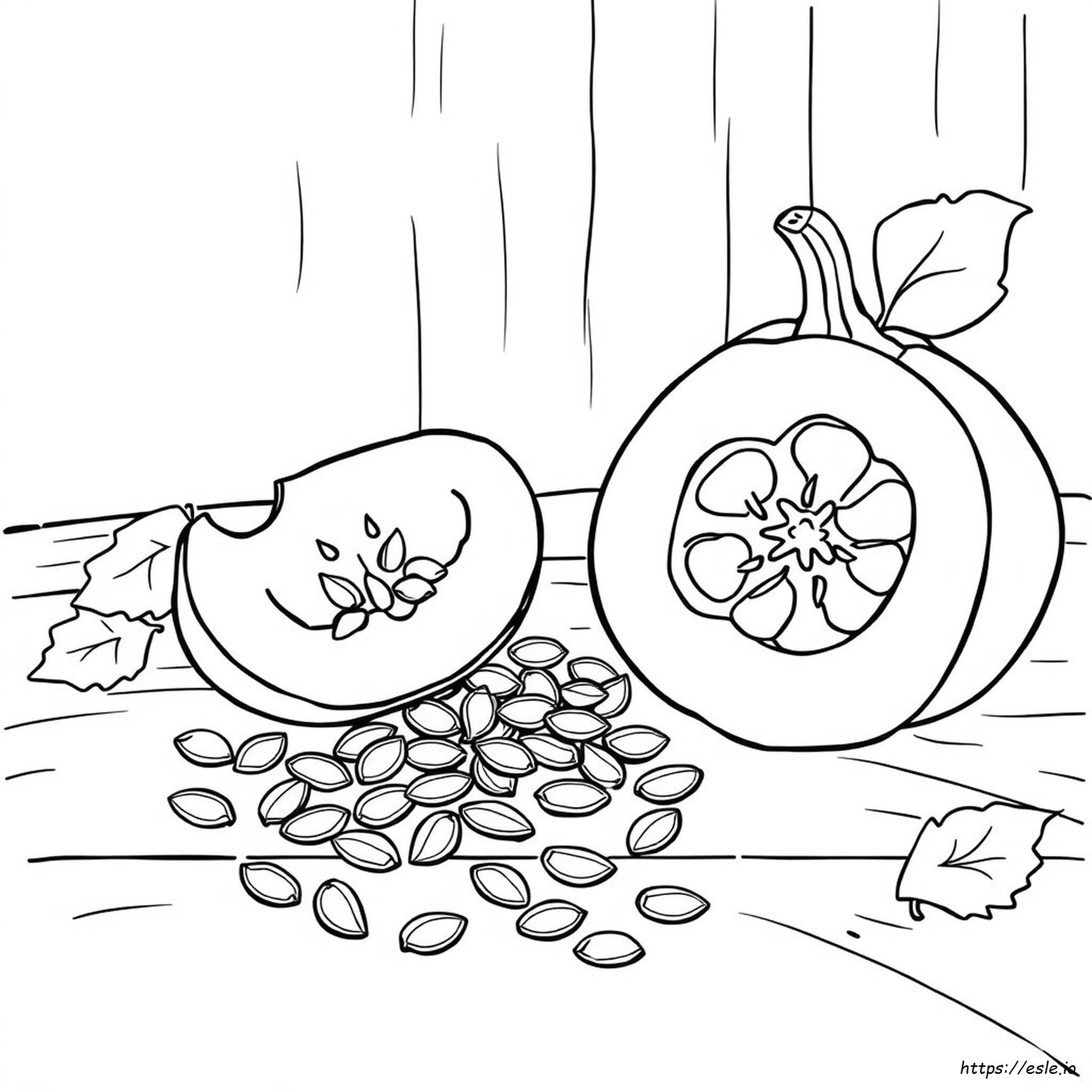 Pumpkin Seed Coloring Page