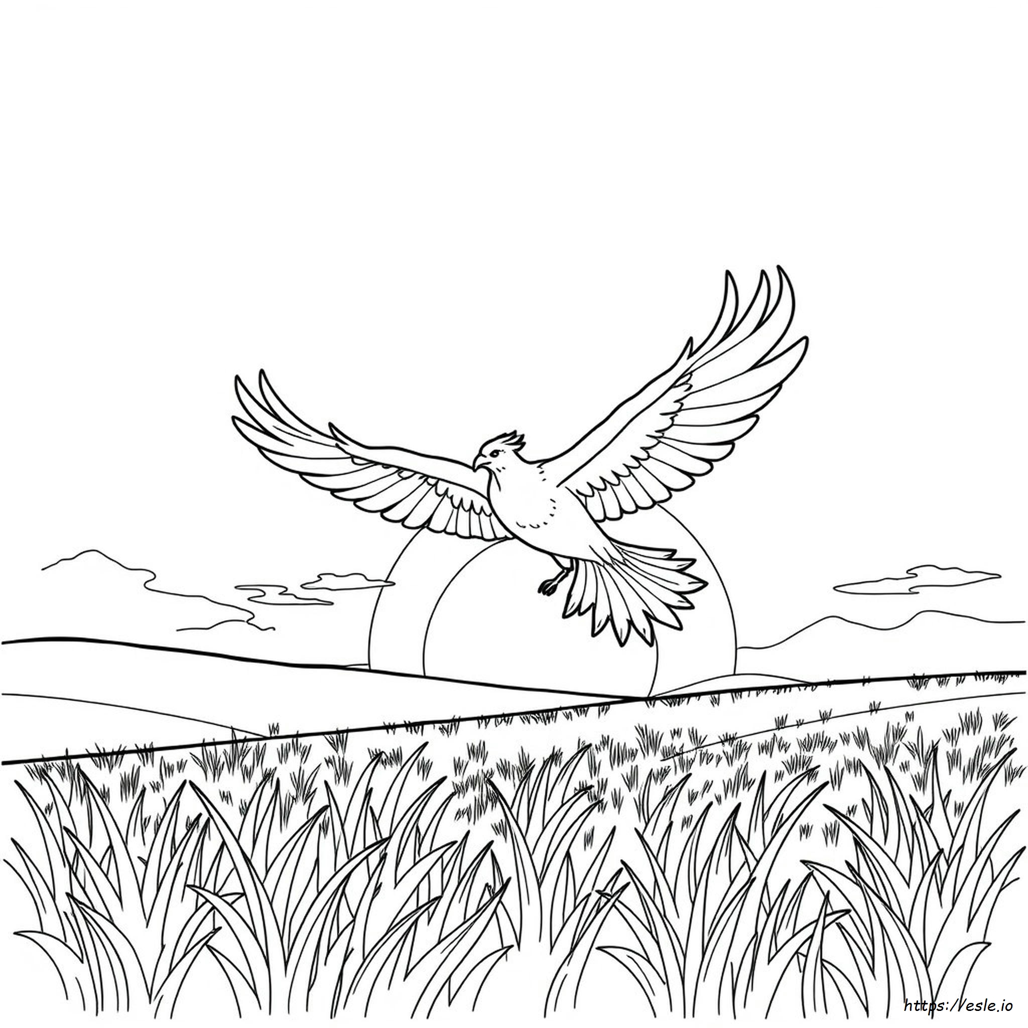 Phoenix Coloring Pictures