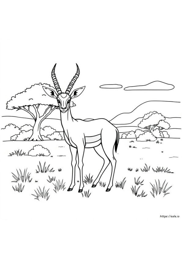Gazelle Coloring Page