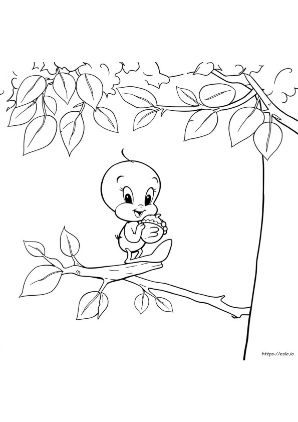 Tweety Bird Colouring Pages