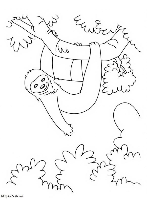 Wild Sloth coloring page