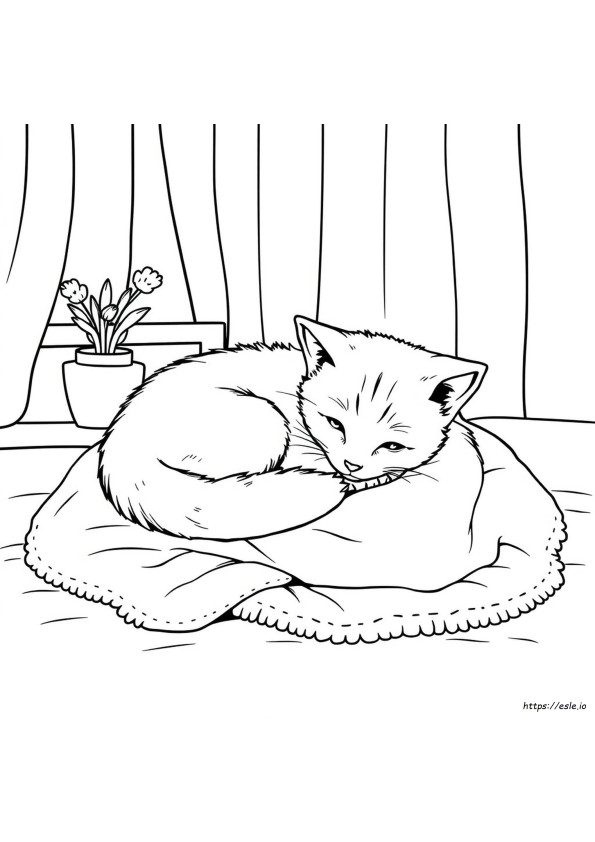 Kleurplaten Van Kittens Voor Volwassenen