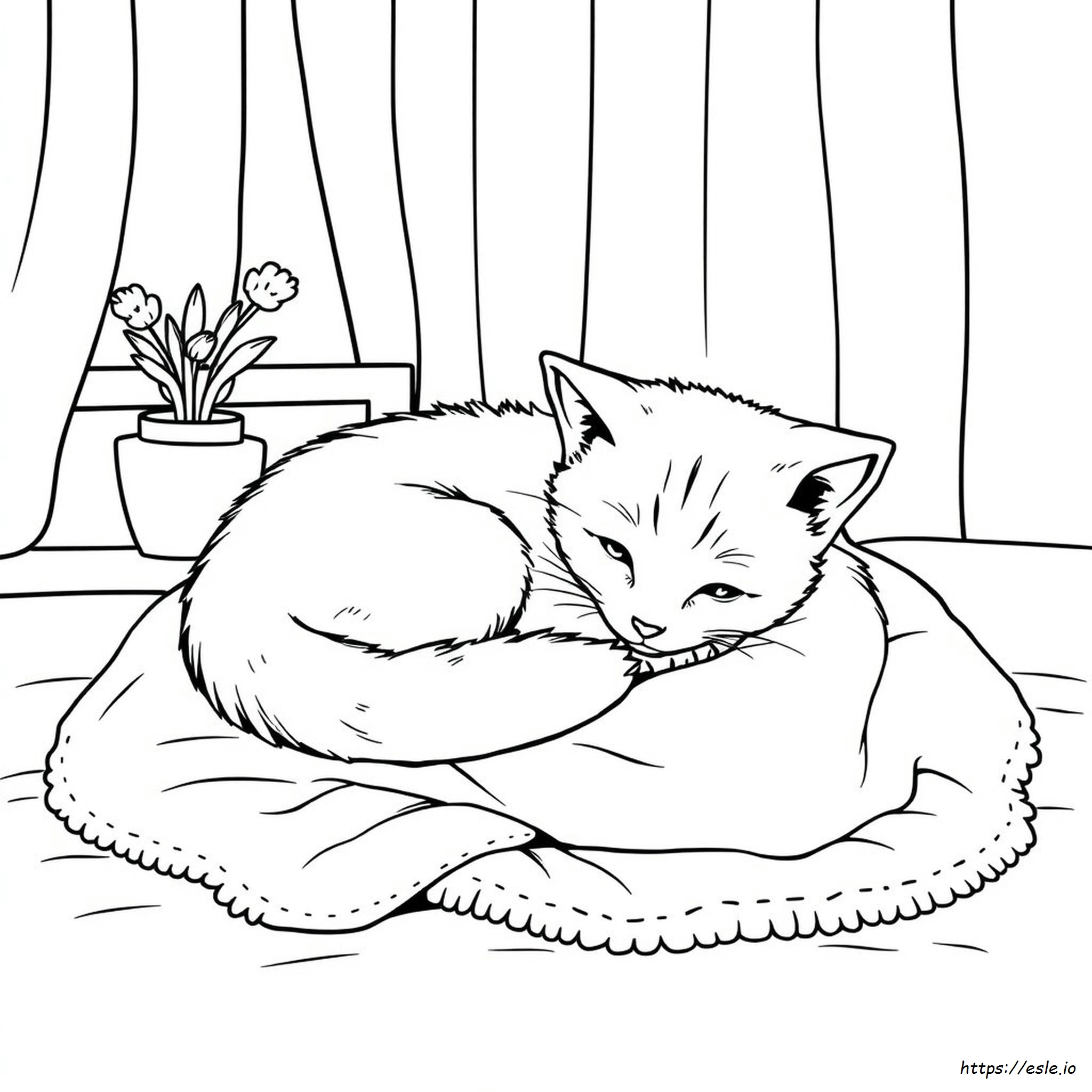 Kitten Coloring Pages For Adults