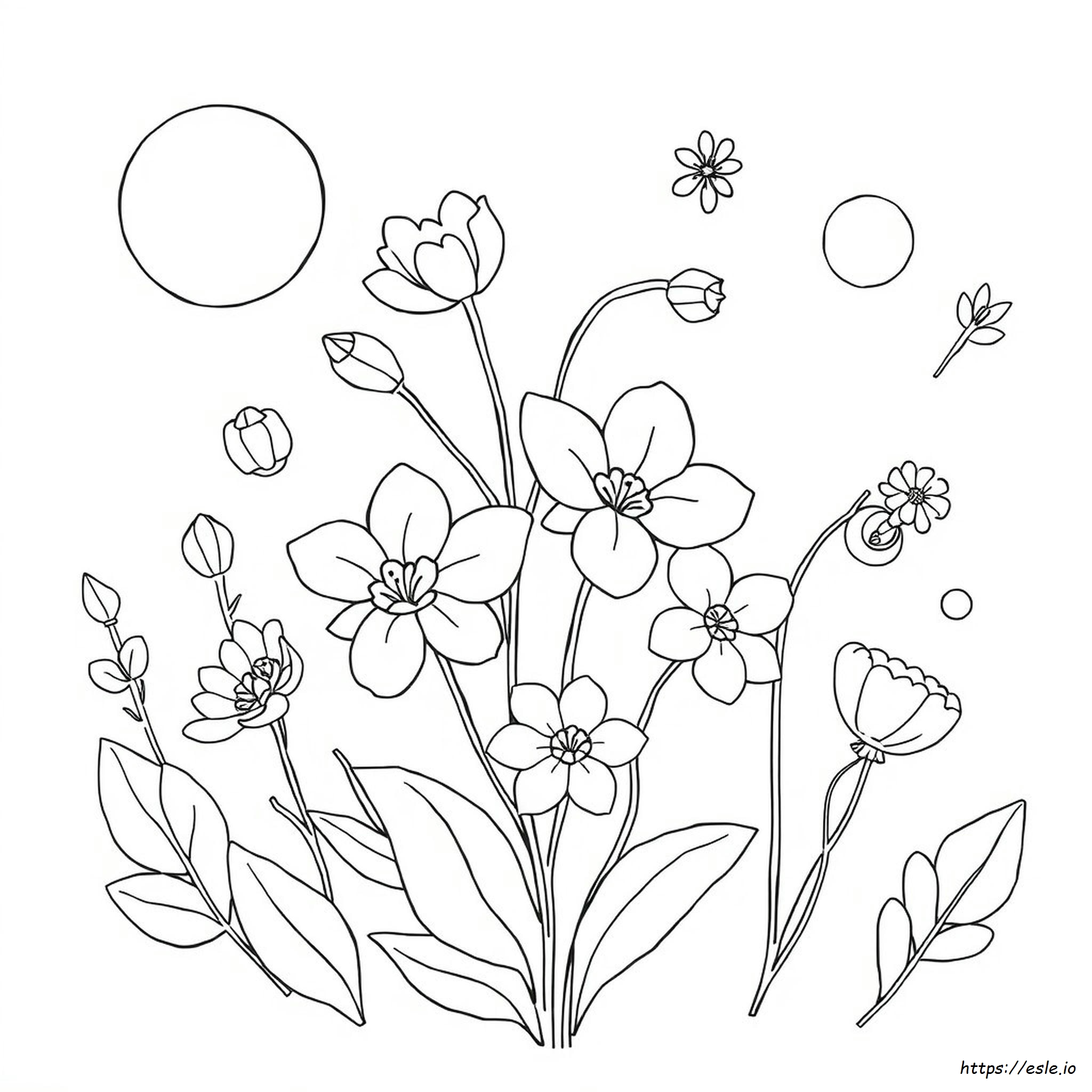 Páginas Para Colorear Gratis Para Adultos Aesthetic